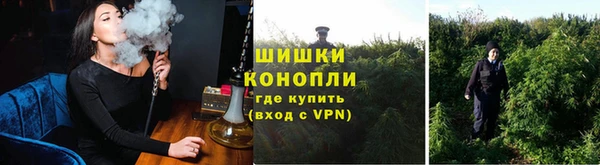 амф Зеленодольск