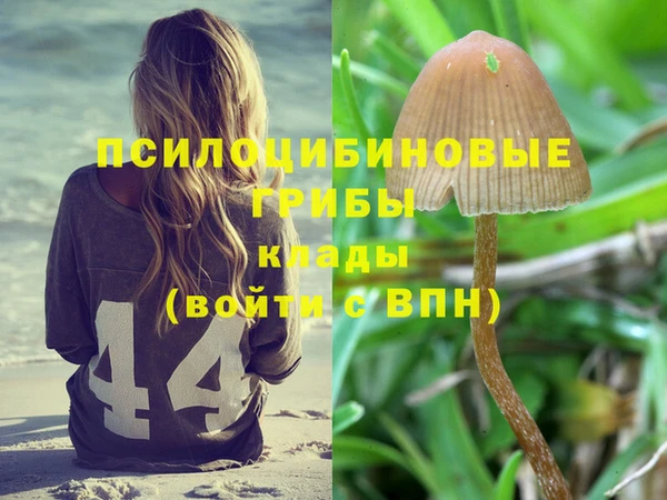 амф Зеленодольск