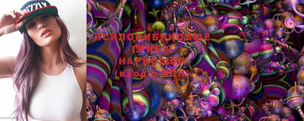 mdma Заводоуковск
