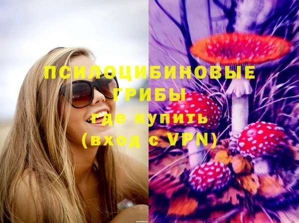 амф Зеленодольск