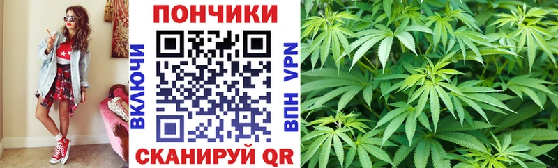 Купить где  Котовск  Бошки марихуана сатива 